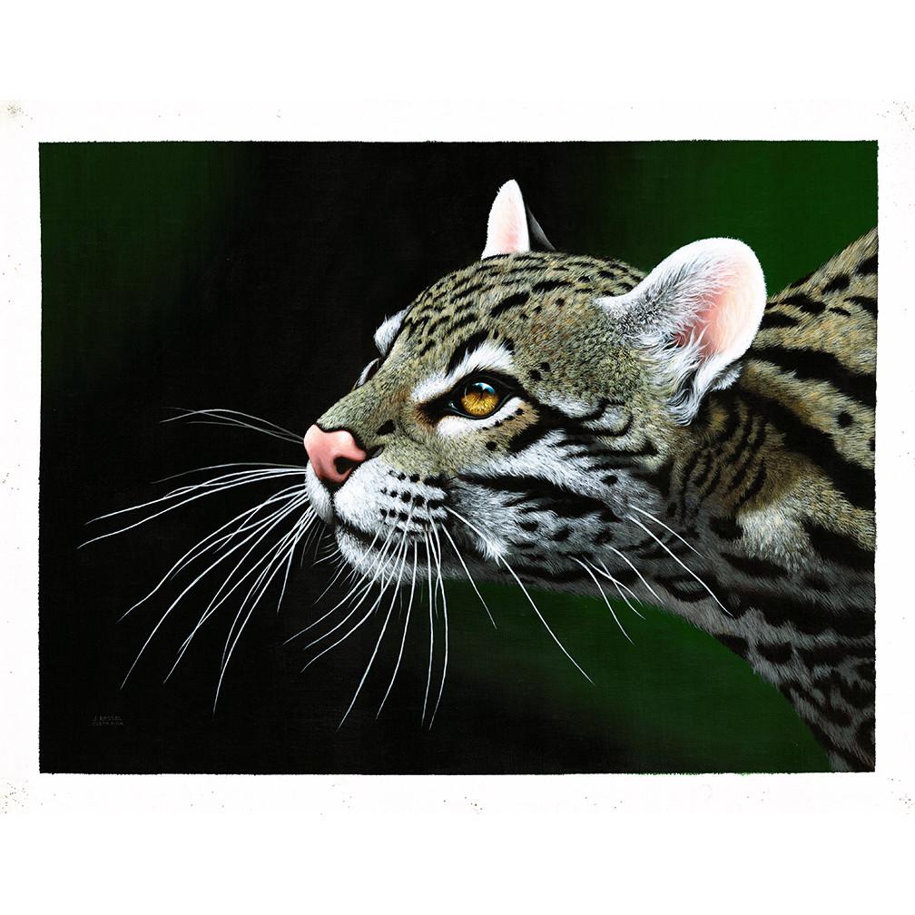 www.costaricacongo.com www.costaricagiftshops.com gift souvenir handmade Giclee Art Work - Ocelote