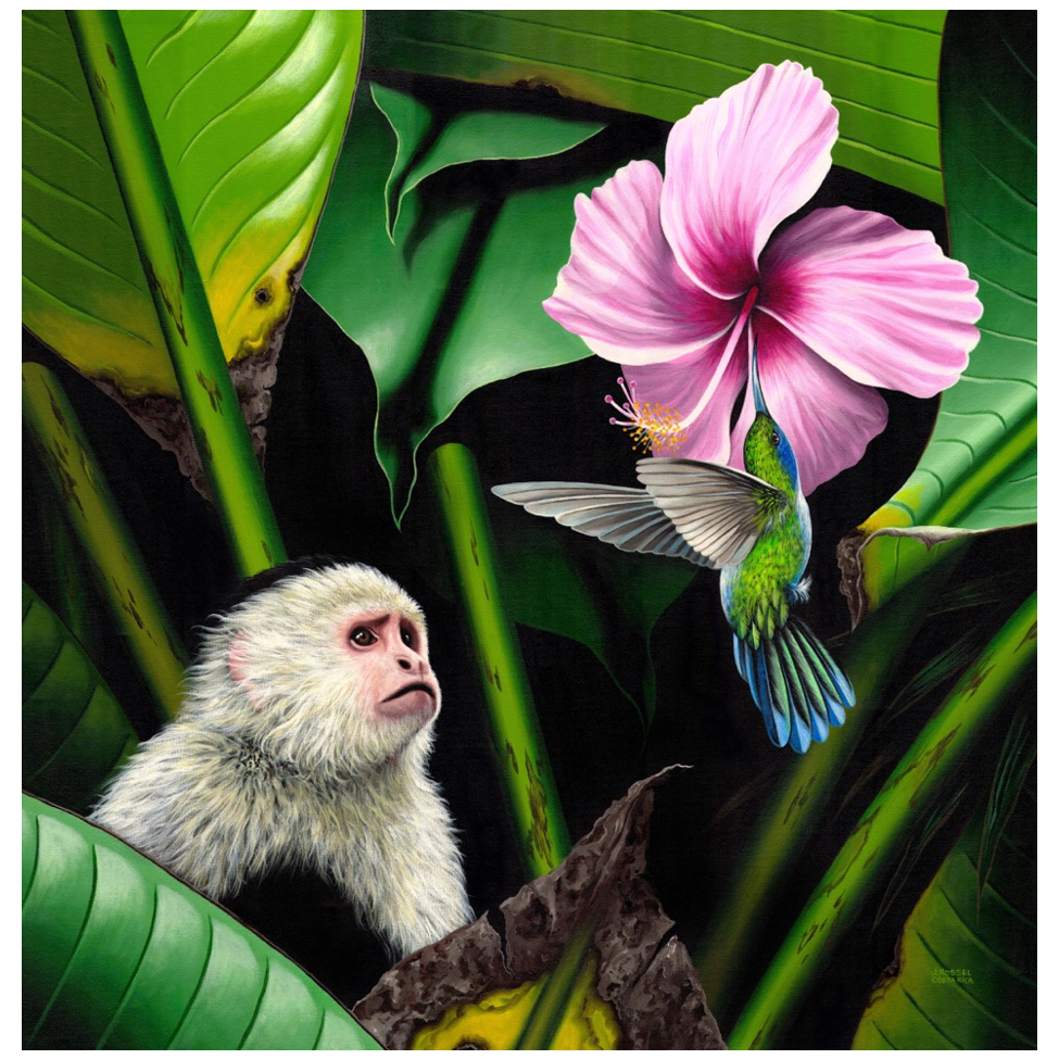 www.costaricacongo.com www.costaricagiftshops.com gift souvenir handmade Giclee Art Work - Whiteface Monkey with Hummingbird