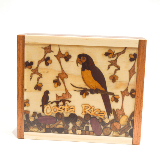 Wooden tea box 4 divisions - Wood design resin Parrot