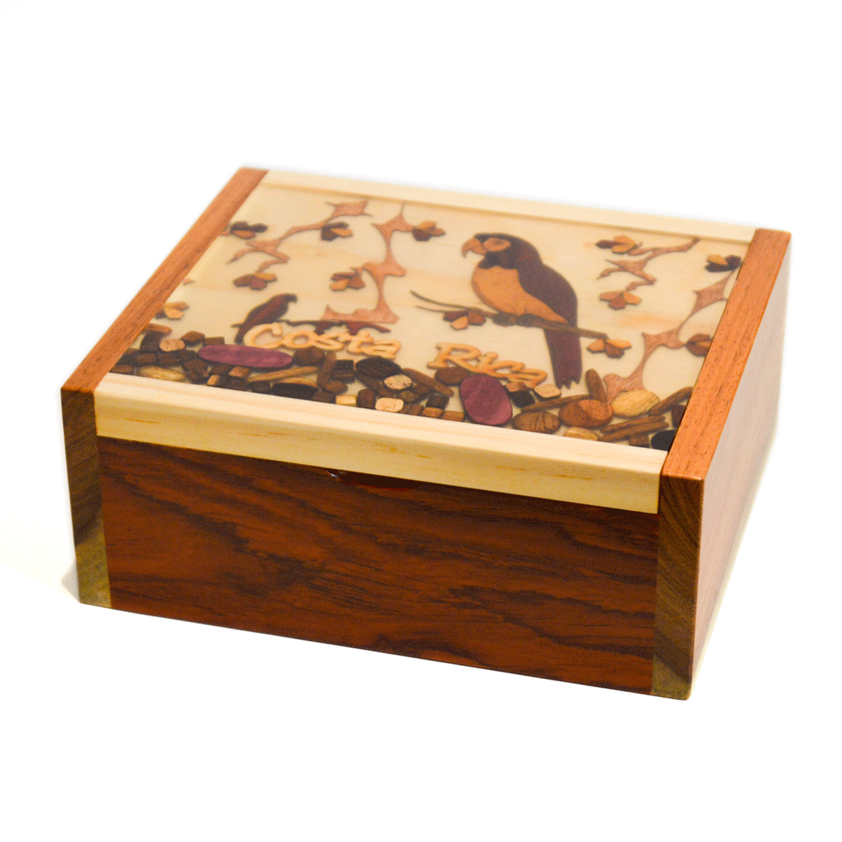 Wooden tea box 4 divisions - Wood design resin Parrot