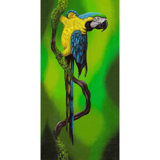 www.costaricacongo.com www.costaricagiftshops.com gift souvenir handmade Giclee Art Work - Blue Parrot on Branch