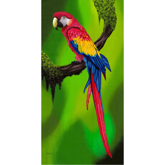 www.costaricacongo.com www.costaricagiftshops.com gift souvenir handmade Giclee Art Work - Red Parrot on Branch