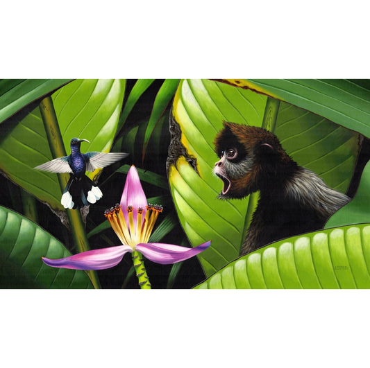 www.costaricacongo.com www.costaricagiftshops.com gift souvenir handmade Giclee Art Work - Spider Monkey with Hummingbird