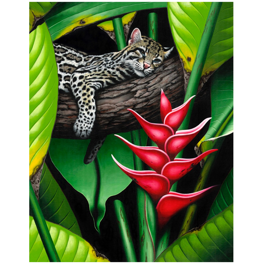 www.costaricacongo.com www.costaricagiftshops.com gift souvenir handmade Giclee Art Work - Sleeping Ocelot