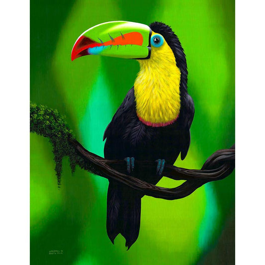 www.costaricacongo.com www.costaricagiftshops.com gift souvenir handmade Giclee Art Work - Toucan