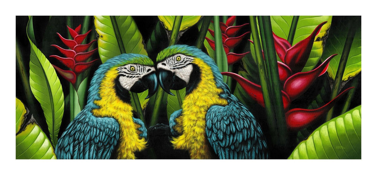 www.costaricacongo.com www.costaricagiftshops.com gift souvenir handmade Giclee Art Work - Blue Parrot Couple
