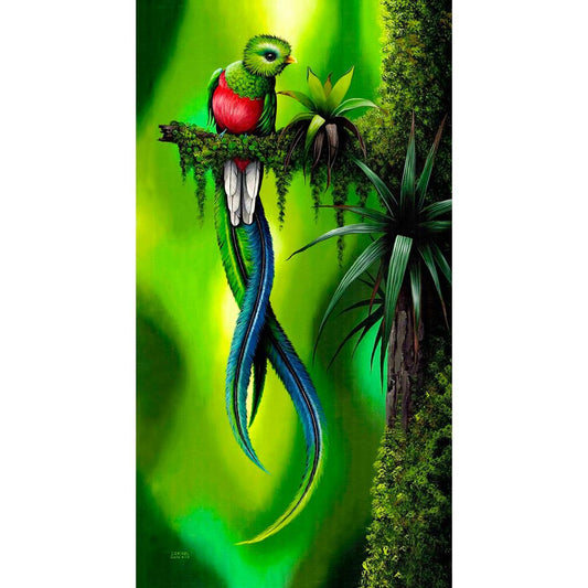 www.costaricacongo.com www.costaricagiftshops.com gift souvenir handmade Giclee Art Work - Quetzal